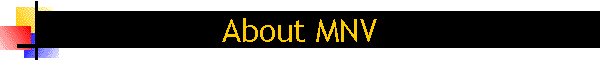 About MNV